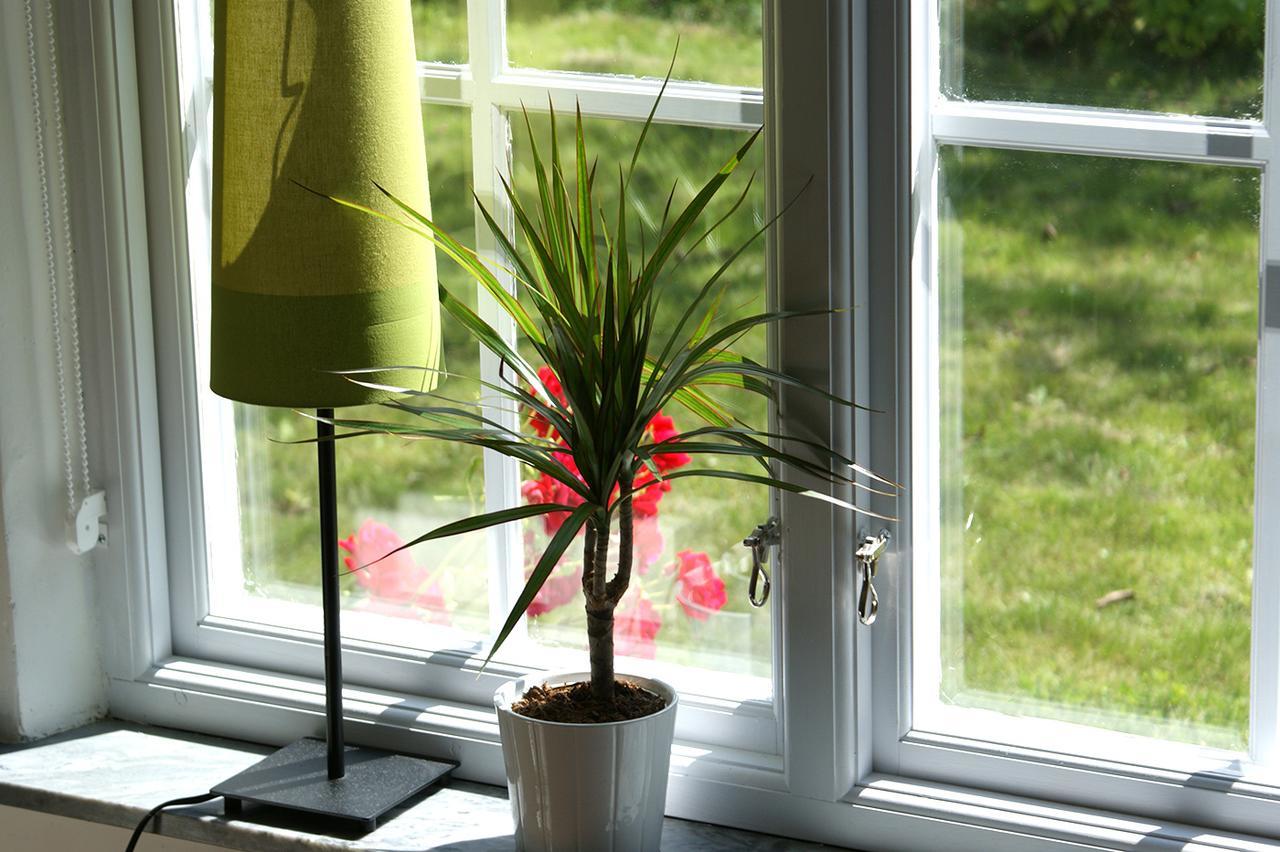 Ejagarden B&B En Suite Kåseberga Exteriér fotografie